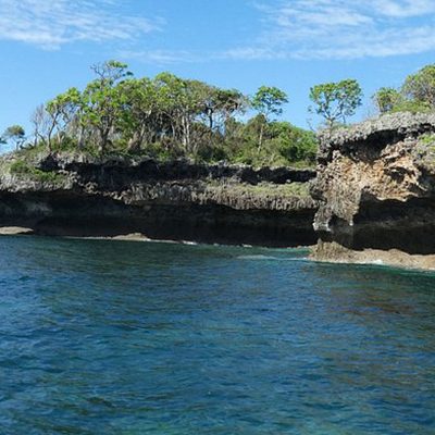 Shimoni