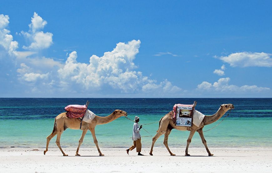 Amazing 5 days/ 4 nights In A Luxurious 4-Star Beach Resort In Diani