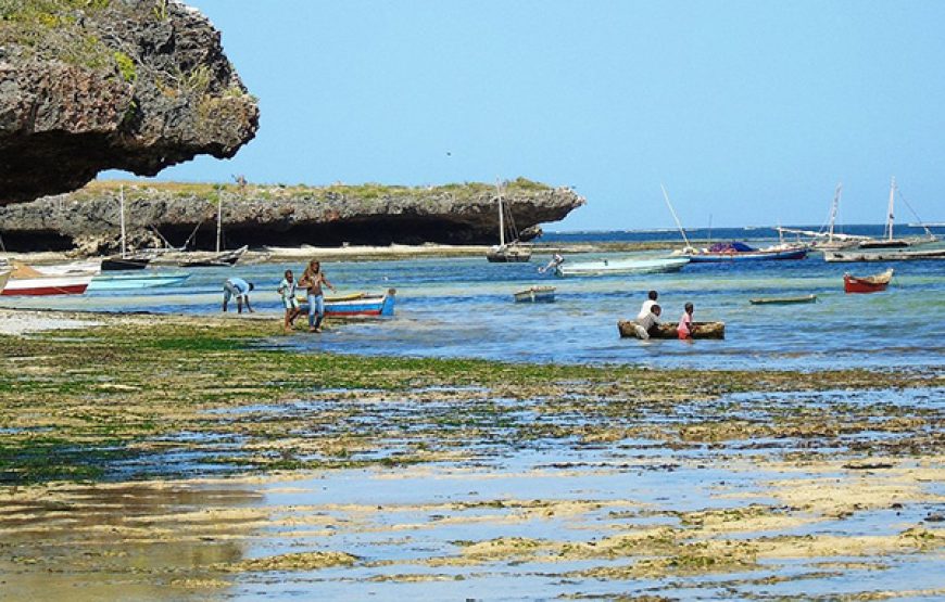 4 Days / 3 Nights Countryside Leisure and Farm Experience Tour