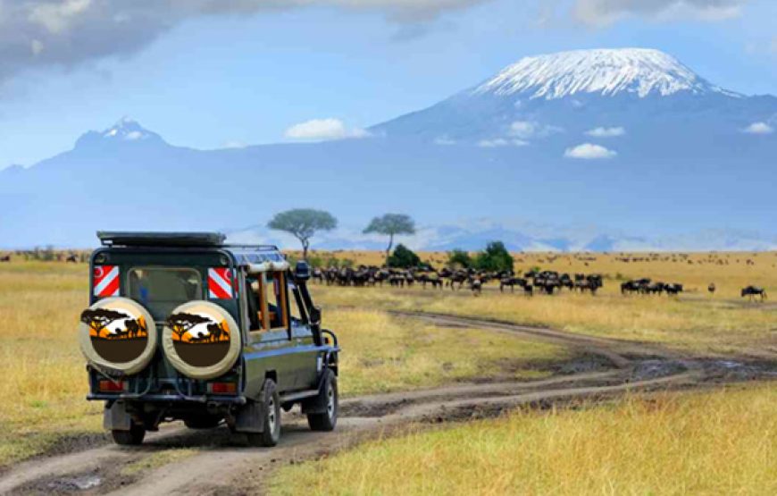 6 Days / 5 Nights Nature and Wildlife Safari Tour