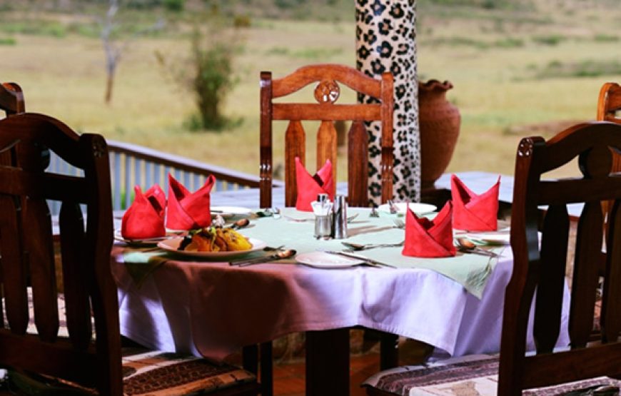 6 Days / 5 Nights Gentle Nature and Coastal Safari Tour