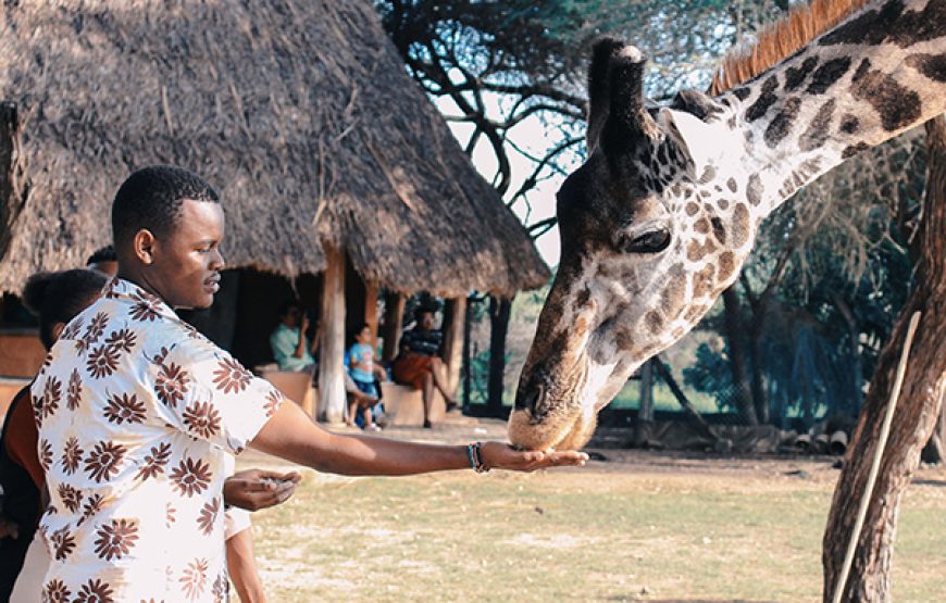 6 Days / 5 Nights Gentle Nature and Coastal Safari Tour
